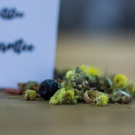 Ξενοδοχείο Dunza Bürserberg