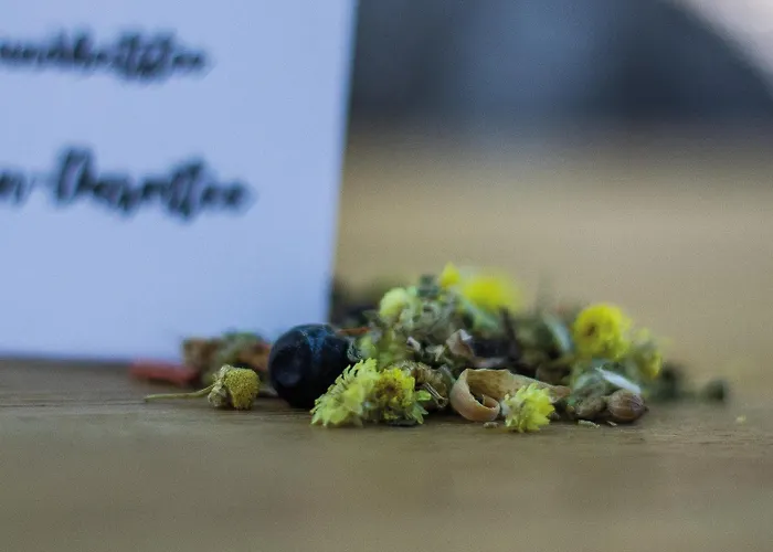 Ξενοδοχείο Dunza Bürserberg