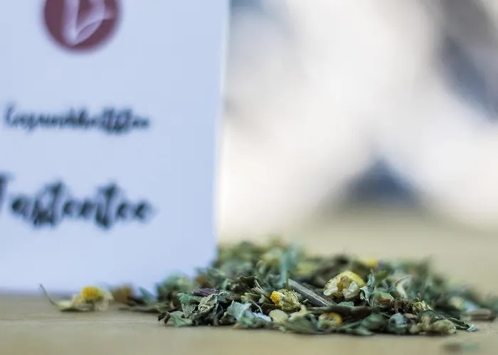 Ξενοδοχείο Dunza