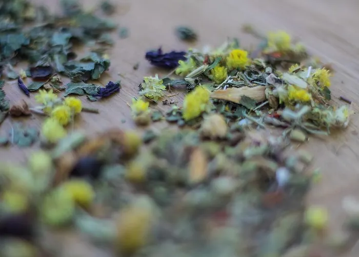 Dunza Ξενοδοχείο Bürserberg