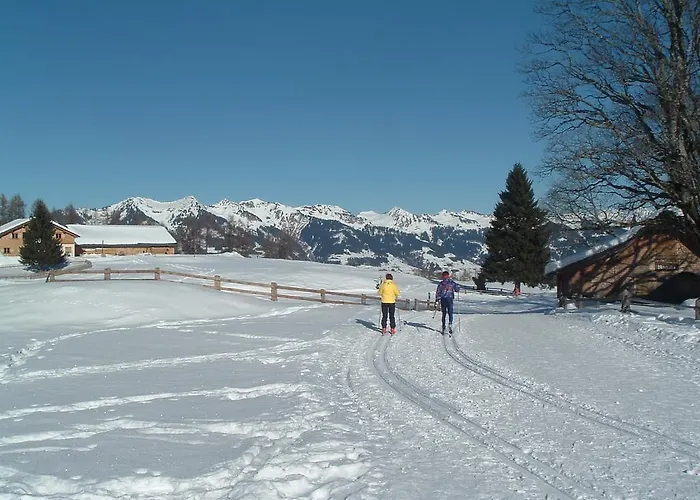 Dunza Ξενοδοχείο Bürserberg